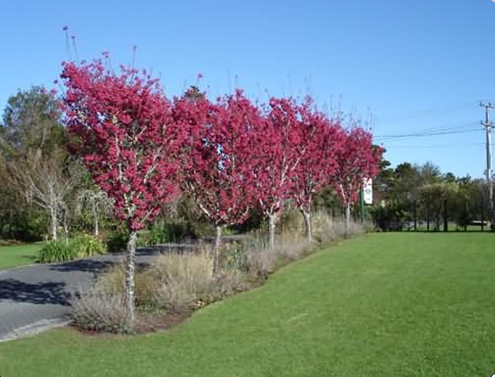 Warkworth Country House Exterior photo