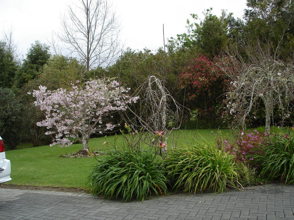 Warkworth Country House Exterior photo