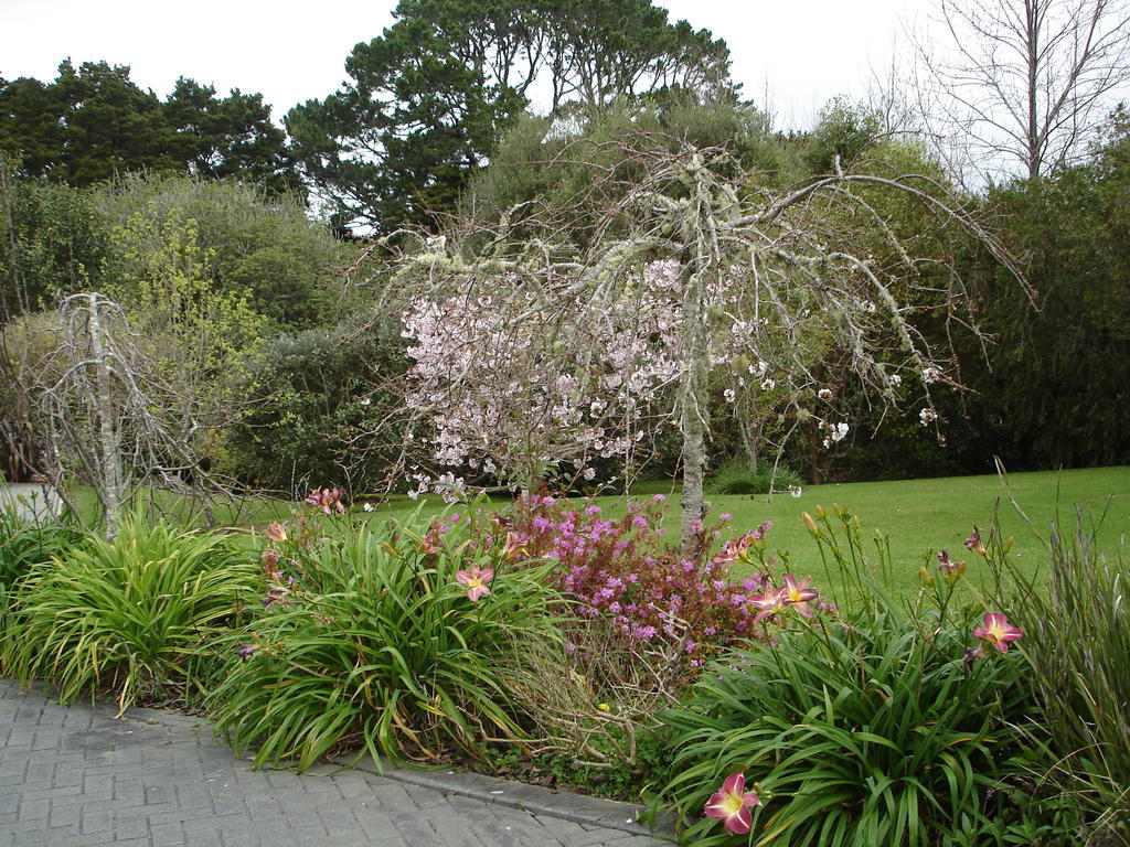 Warkworth Country House Exterior photo