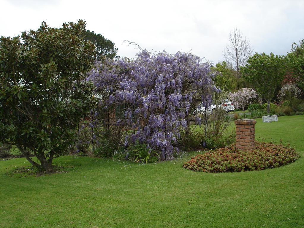 Warkworth Country House Exterior photo